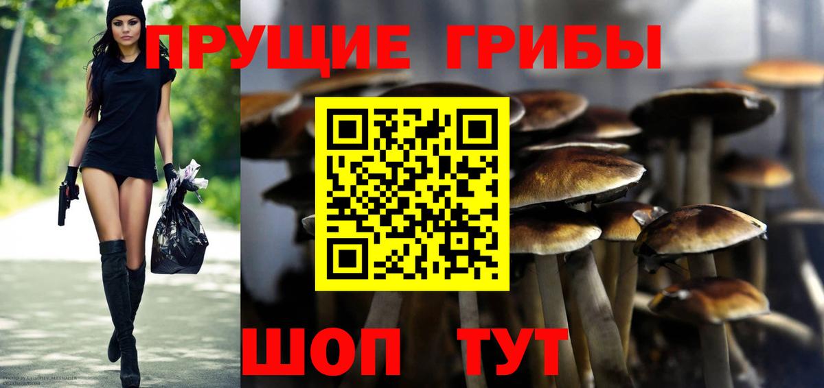 где найти   Галлюциногенные грибы GOLDEN TEACHER  Вход с VPN  Волгоград  Галлюциногенные грибы Cubensis 